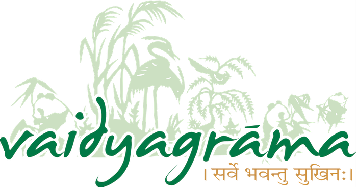 Vaidyagrama Ayurveda: Authentic Healing Village in Coimbatore