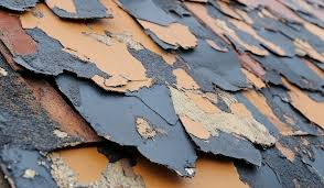 How to Spot Hidden Roof Leaks in Your North Port Property