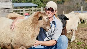 How Animal Hospitals Manage Emergency Situations